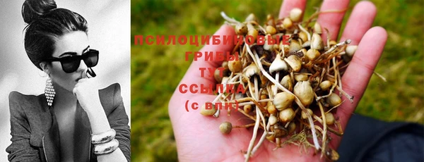 марки nbome Баксан